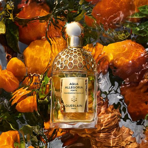 aqua allegoria mandarine basilic review